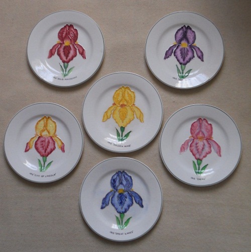 Set Iris plates
